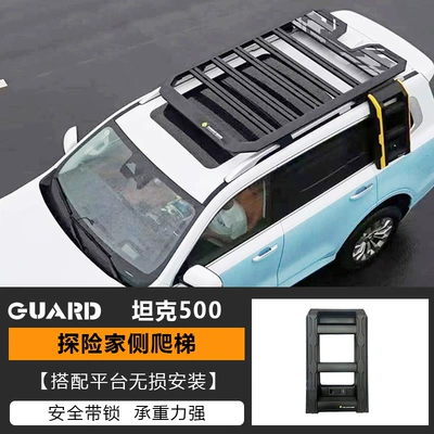 storage rack travel rack, Roof rack - ladder