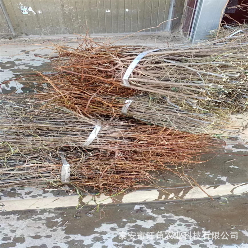 7fc9cc5a6f68b107c2931ba2315833