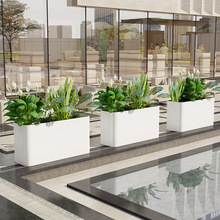 ���⻨��M�ϲ��P��Fˇ��[�Nֲ�����̲��������Ʒ���ٻ���