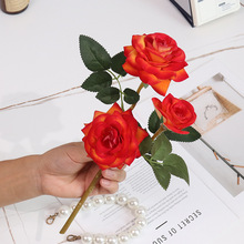 滨辰廨 3^qõ廨Pbˇ羳Ӽܛbٻ