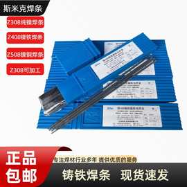 跨境出口欧美焊条Z308铸铁焊条Z408镍铸铁焊条 EZNi-1铸铁焊条