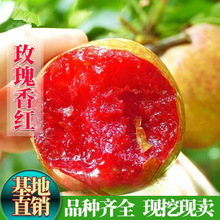 �t���S�������ӹ�����õ����t������������޽ӹ����箔��Y����