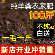 ʃɹżSlЙCϷNrҷ߲˻ܾGֲ