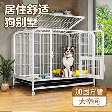�����ڴ���Ȯ������ڹ��ř�����ȮС��Ȯ�҃ȹ����\���ۯB�бPţ