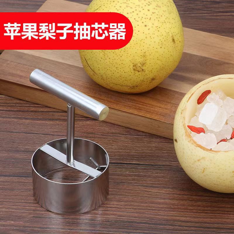 Stainless steel fruit corer tool corer