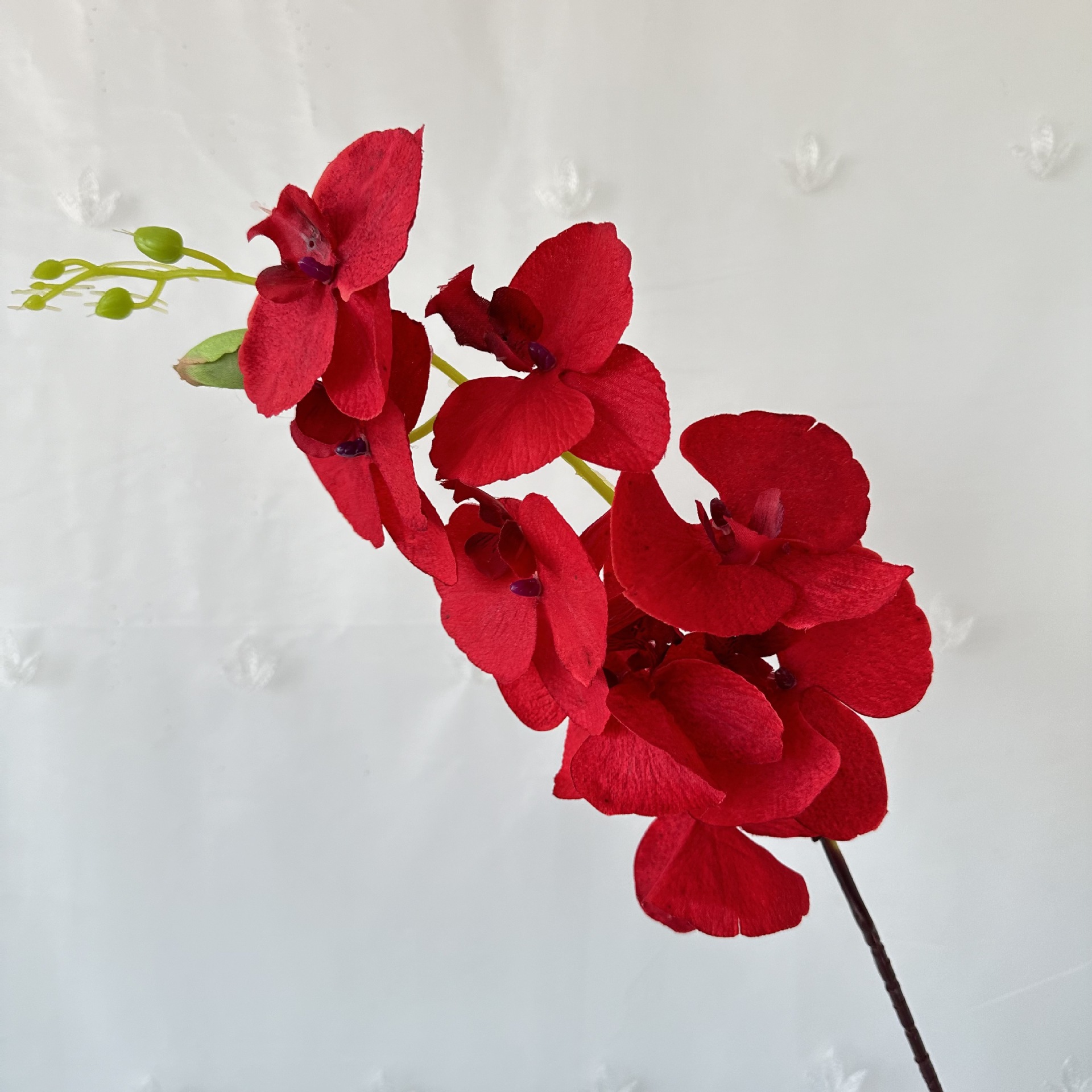 Los fabricantes suministran flores secas simuladas en la sala de estar, flores de jarrón, tela de pelo de ocho cabezas, plantas de simulación de Phalaenopsis, adornos de flores secas