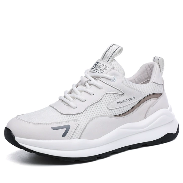 R1663 white