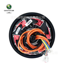 12��3000WP40H�Ĵ�QSMOTORȫ�늙CV4��Ƭ��48-96V늄�܇�Ħ늙C