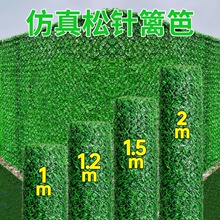 ��������F�z�W�h�ʾ����ٲ�ƺ�o�ڇ����������ϲݽz�řھGֲ�o��