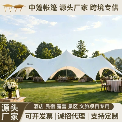Outdoor Thickened Wanzong Mountain Super Large Three Peaks Tent Camping Dome Sky Curtain Octopus Single and Twin Peaks Lotus Flower Sky Curtain