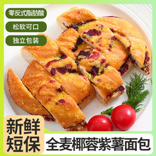 全麦椰蓉紫薯面包早餐0添加蔗糖学生健康零食支持一件代发