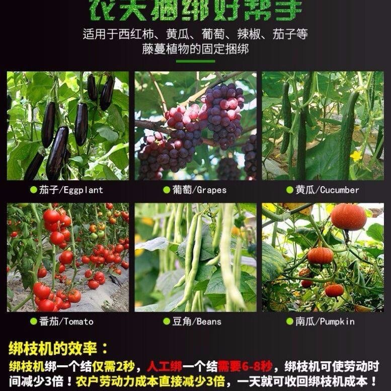 b60c07bdfc5eff219ef22142b984db