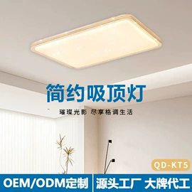 吸顶灯;筒灯