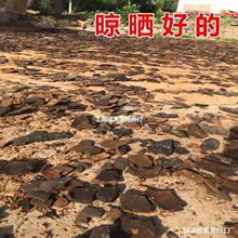 芝麻渣油饼渣子5斤1斤 芝麻饼麸香油渣麻渣种花钓鱼花卉蔬菜肥料