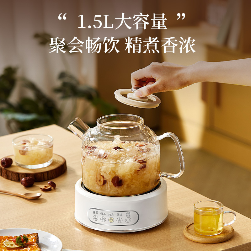 养生壶玻璃壶身多功能家用智能烧水壶高硼硅花茶壶办公室煮茶壶|undefined