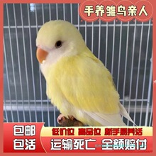 ���Bĵ���W�^���B�r�B�����B�W�^���P��Ƥ�fԒ���W�^�H��ľ�|�Ї�