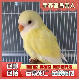 ���Bĵ���W�^���B�r�B�����B�W�^���P��Ƥ�fԒ���W�^�H��ľ�|�Ї�