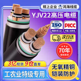 订制纯铜包检测ZR-YJV22 3*35～500平方 8.7/15kv 高压电力电缆线