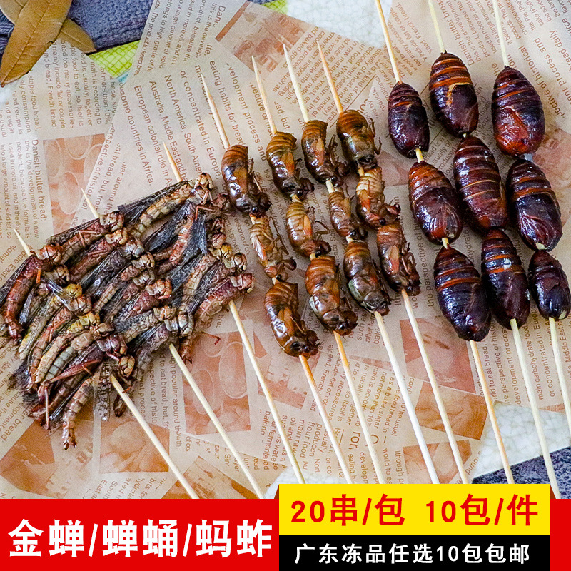 Special BBQ Insect Skewers Golden Cicada Skewers Cicada Pupae Skewers Grasshopper Skewers Commercial Deep-fried Meat Skewers Semi-finished Food 20 Skewers