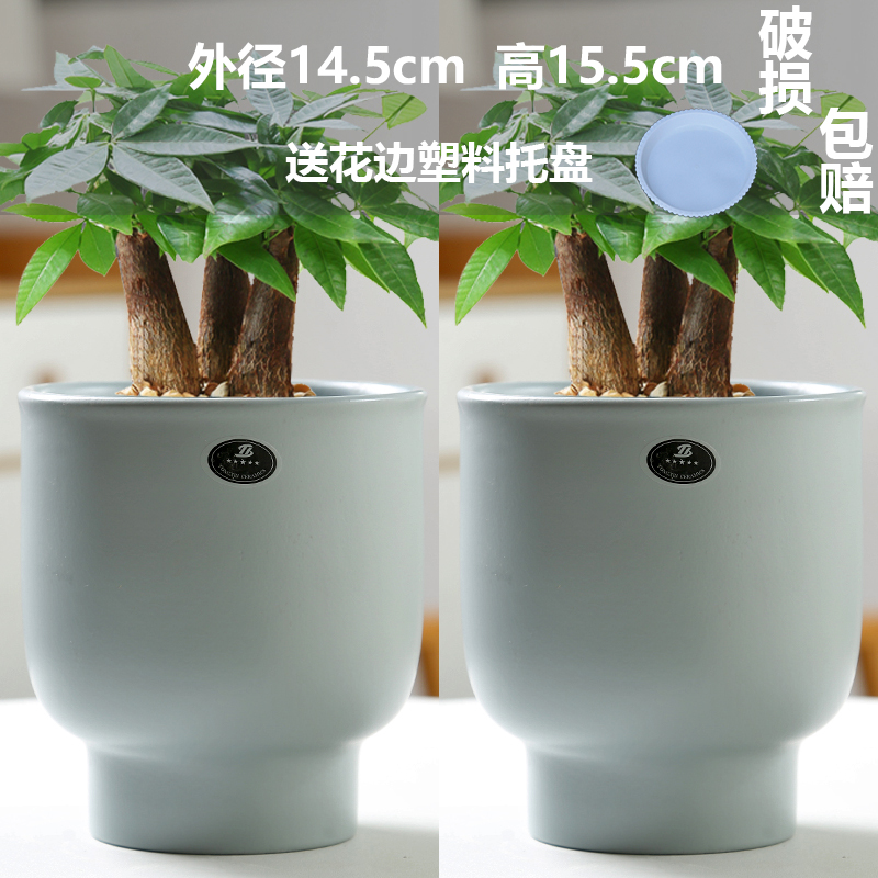 특별 제공 매트 2개 세트(트레이 포함)