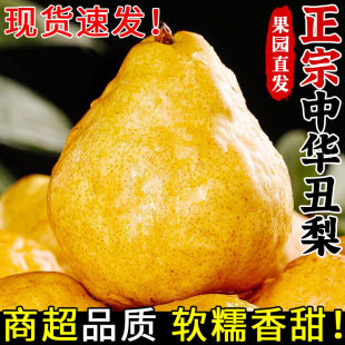 �������A���殔�����rˮ��ܛŴ����Fժɽ�|��̨�R���̫����ơ��