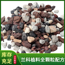 山里兰石石斛树皮种植兰花土颗粒蝴蝶兰植料植金石君子兰植物花卉