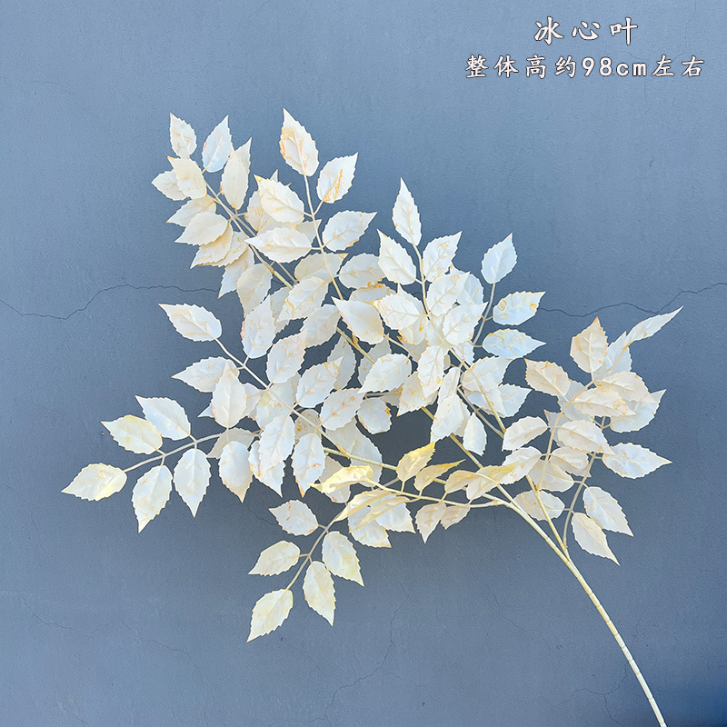 샴페인 아이스 하트 리프