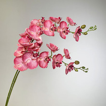 ����9�^�ѻ������m�ָк����m�Ҿӻ�c��ˇ�b[��3D��Ʒ�|�ٻ�