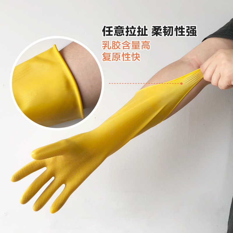 衛生手袋をして掃除します。|undefined
