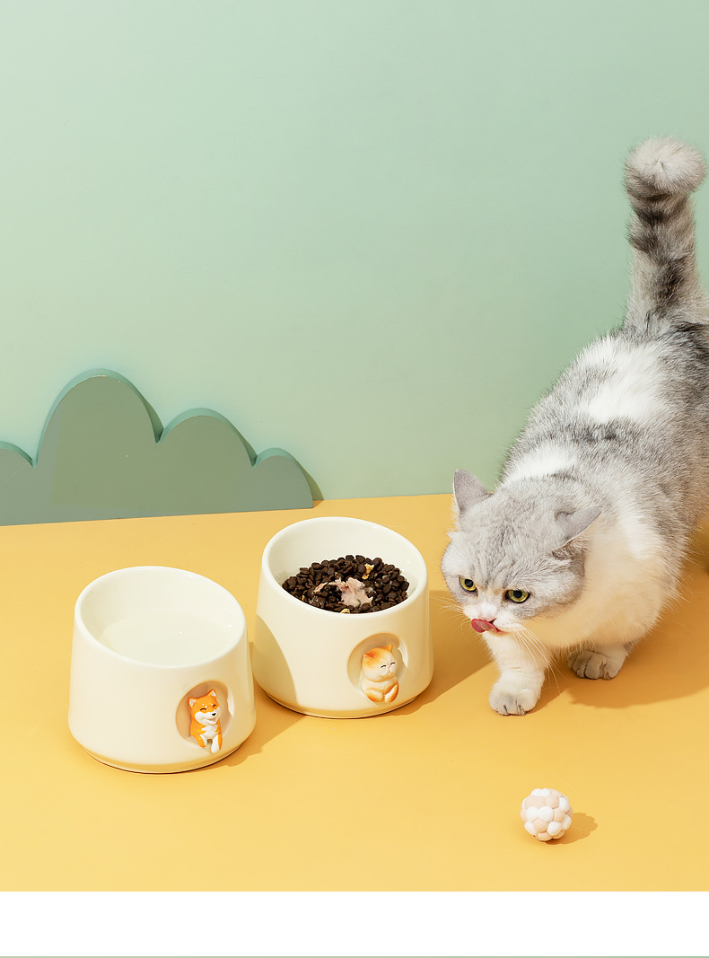 猫狗碗_17.jpg