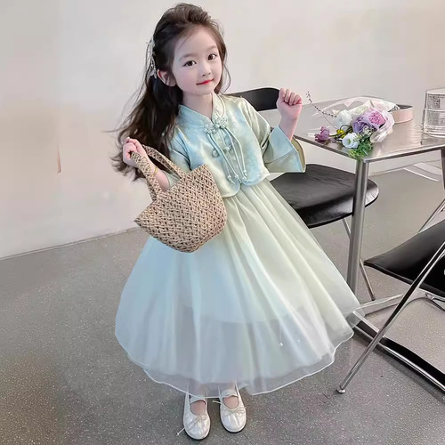 Summer 2024 New Girl's Dress for Baby Girls, Cute Princess Style Children's Long Sleeve Dress