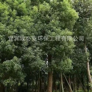 ���U�������Ǽܣ����f�����؈@�־G������������ľ���l���^�乤�S