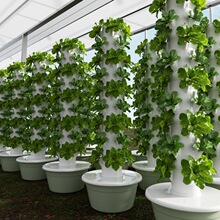 H 70241 Vertical Hydroponic Tower ��ͥ�߲���ֲ�� ŷ���羳