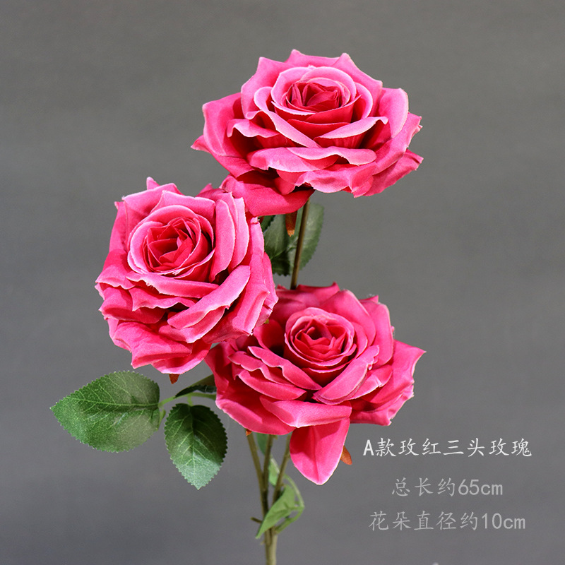 Un estilo de rosa roja de tres cabezas Rose