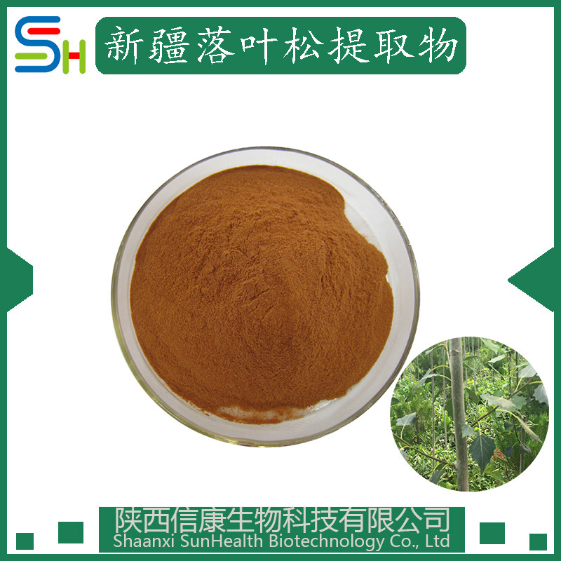 新疆落叶松提取物 10:1 另20/30:1规格 花旗松素 公斤装 信康生物