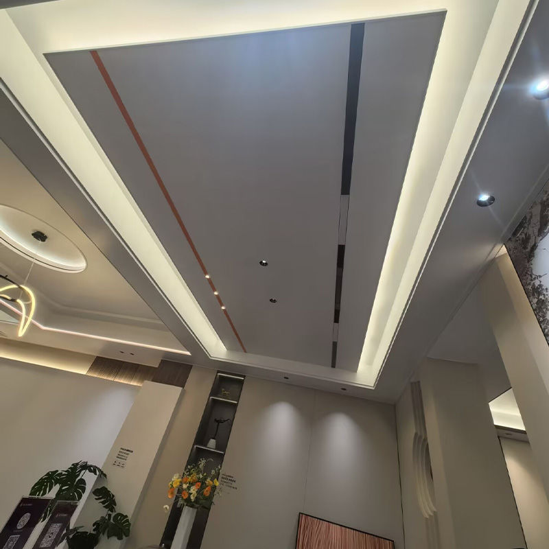 Fabricantes de techos integrados de paneles grandes de nido de abeja de aluminio puro al por mayor sala de estar, cocina, baño, oficina de techo secundario para toda la casa