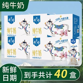 调味酱;其他调味品;传统糕点