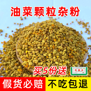 �S�ҹ����۷����Ͳ�ι���B�䷱���۷�����ຣ�w���Ͳ��s�仨��