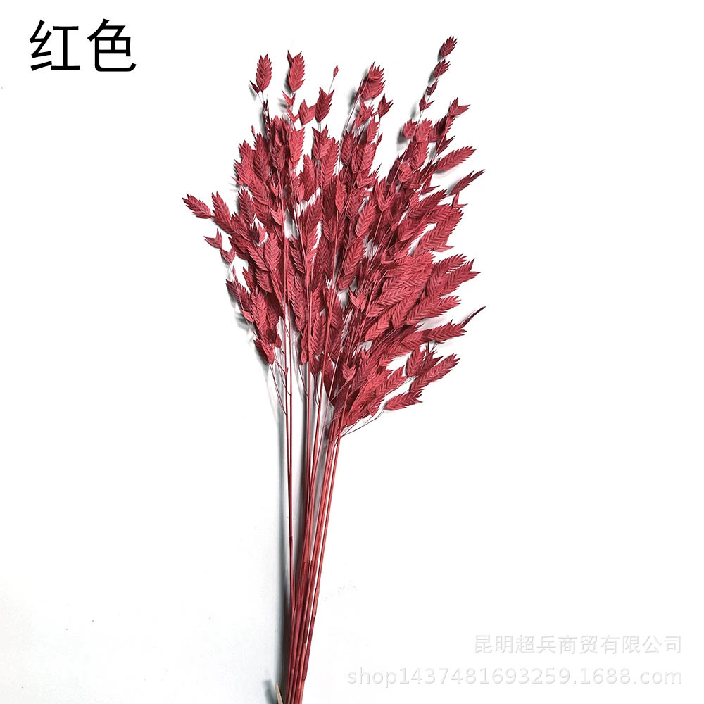 Сохранённые вечные цветочные стебли Xiao Pianwang Cao, цветочная сушёная букетная композиция, 10 шт, 30–60 см