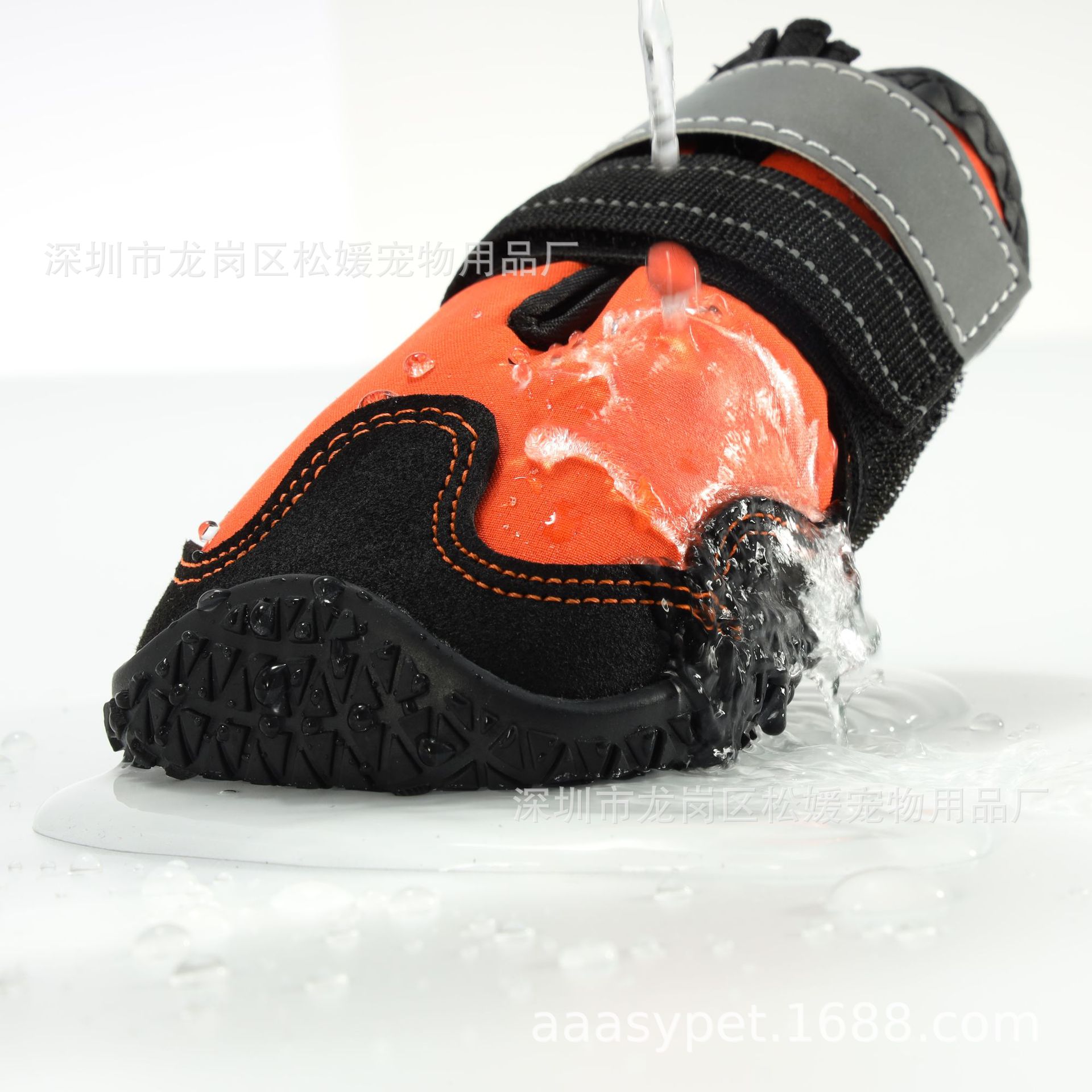 4N2A4614-.jpg