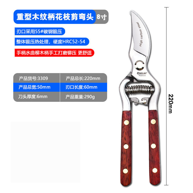 果樹を供給して枝を切って園芸の盆栽を切ります。|undefined