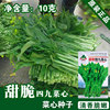 Vegetable seed seeds, vegetables, vegetables, seeds, vegetable seeds wholesale vegetable seed seed seeds