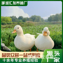 �W�tͬ�� ������w ���� ��� ���^�^�p� ��� ����������l