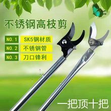 槐花剪高枝剪修枝剪不锈钢修剪园林疏花稀果剪枝槐米加长杆高空剪