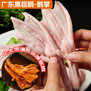 ���ڏV�|�����Z�Z�����r��������l���r�F�����Ƥ�g�_�ƴ։�