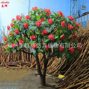 ���l���ͷ����u������ �҃�����ȼ�����쾰�b�� ���ϏS��ֱ��