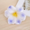 [Gradient light blue]