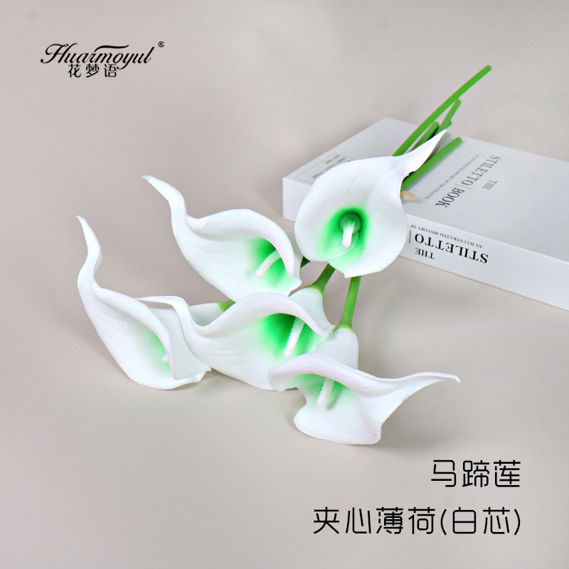 칼라 릴리 샌드위치 민트(화이트 코어)