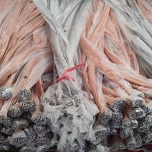 �������S�~��������֧�ց��ρ�D���l���S��ɢ�b��늼���ľ����