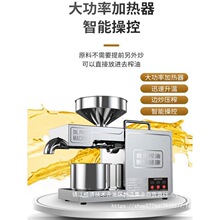 不锈钢榨油机小型家用全自动多功能家庭花生油冷热炸油机商用机器